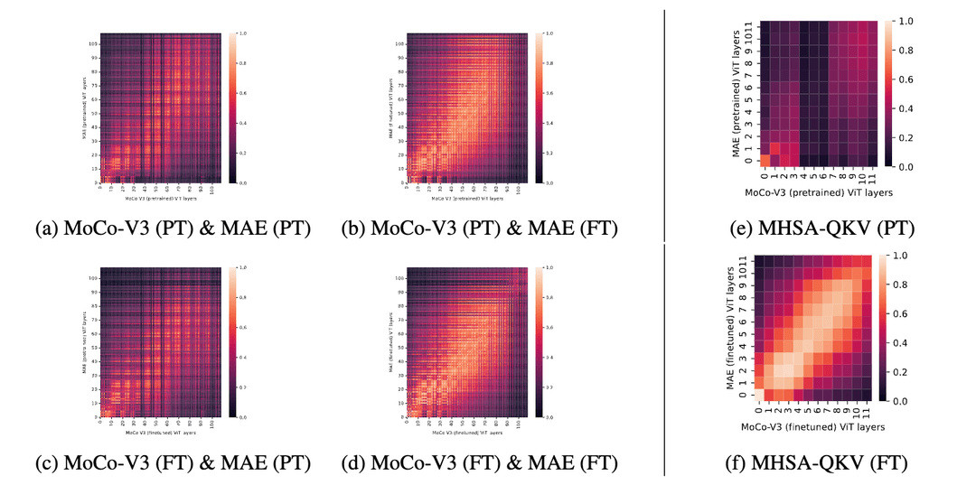 Cover image for Understanding contrastive versus reconstructive self-supervised learning of Vision Transformers